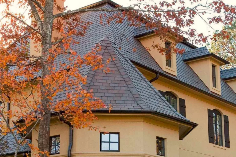 Slate roof with fall leaves above it.